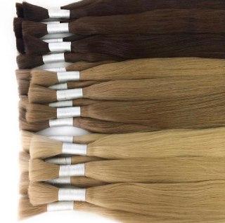 Raw cut hair Ombre 10 and DB2 Color GVA hair - GVA hair