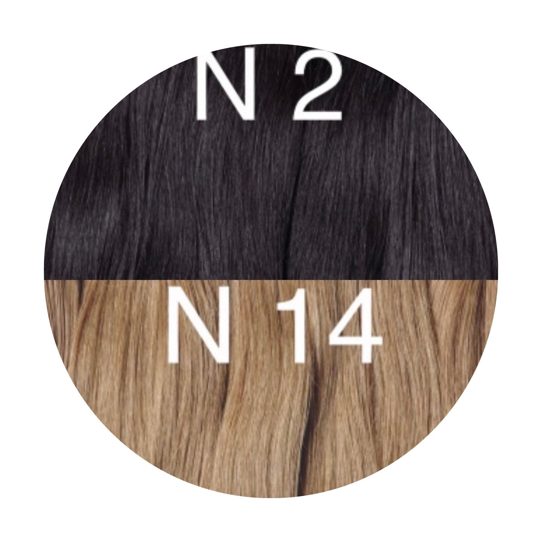 Tapes ombre Color 2 and 14 GVA hair - GVA hair