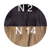 Raw cut hair Ombre 2 and 14 Color GVA hair - GVA hair
