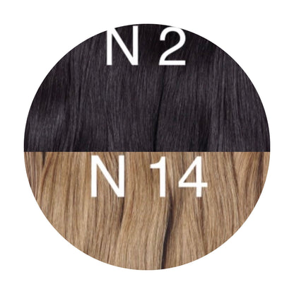 Wigs Ombre 2 and 14 Color GVA hair_Retail price - GVA hair