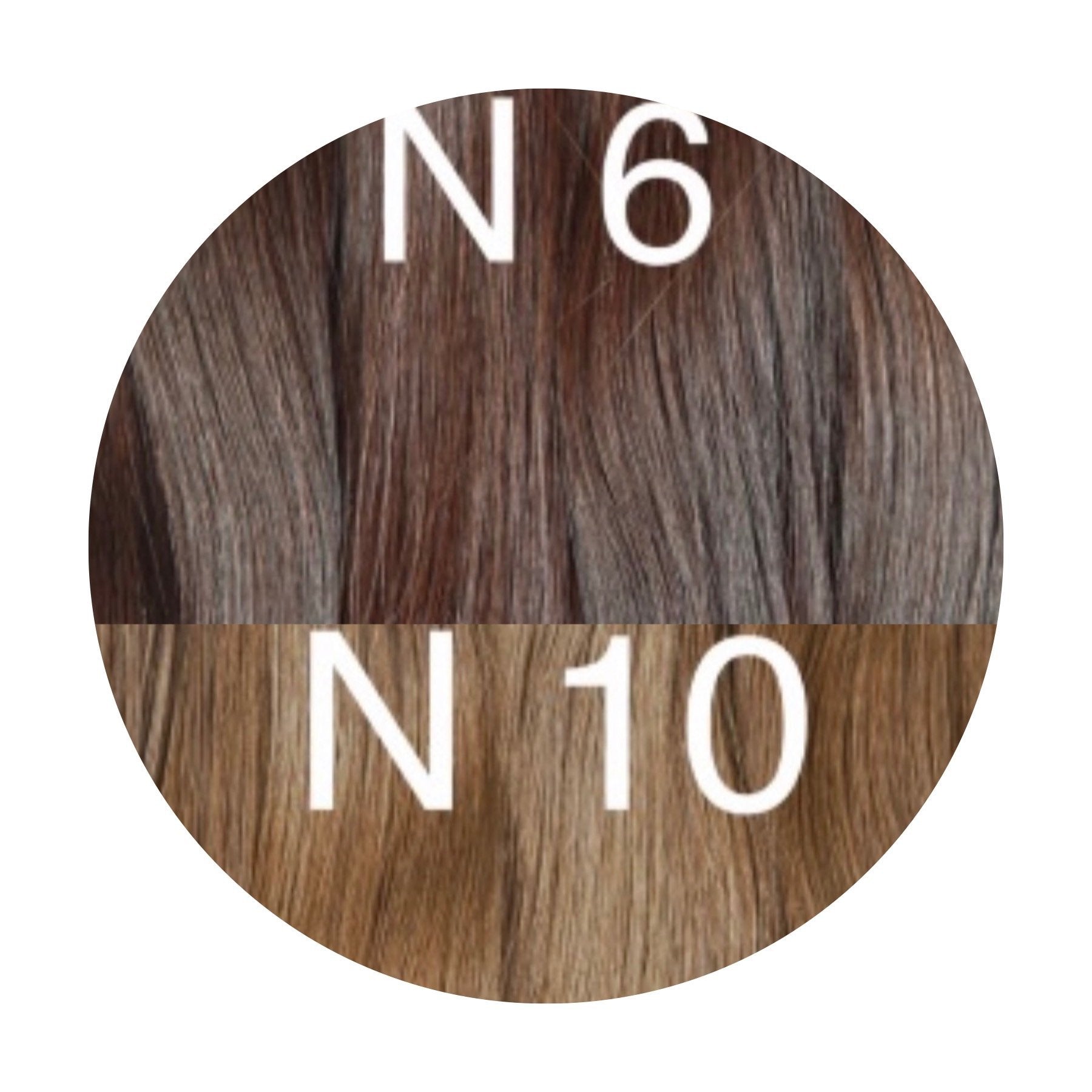 Wefts ombre 6 and 10 Color GVA hair_Retail price - GVA hair