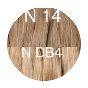 Raw cut hair Ombre 14 and DB4 Color GVA hair - GVA hair