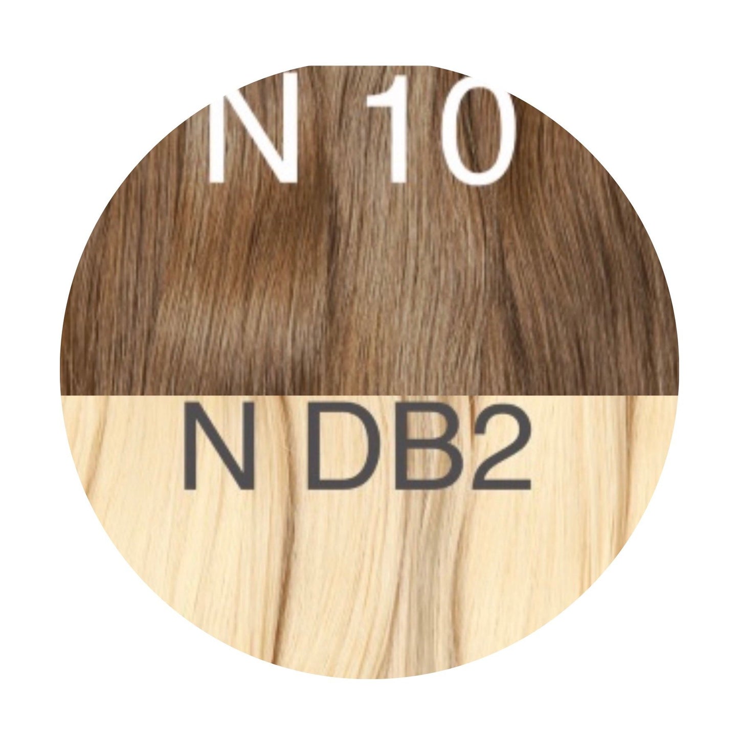 Micro links ombre 10 and DB2 Color GVA hair - GVA hair