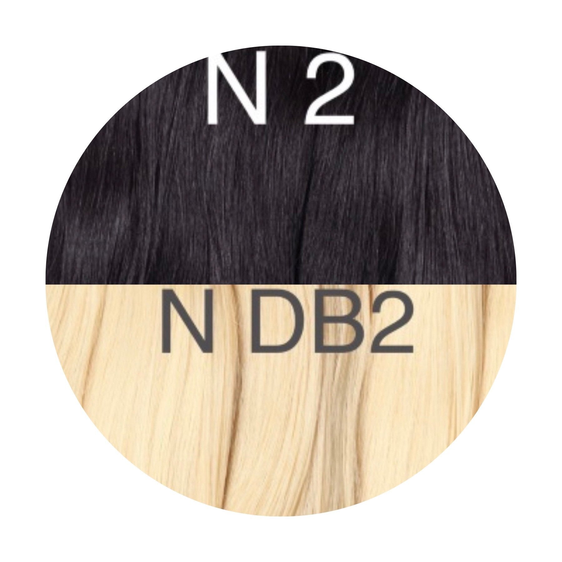 Wigs Ombre 2 and DB2 Color GVA hair_Retail price - GVA hair