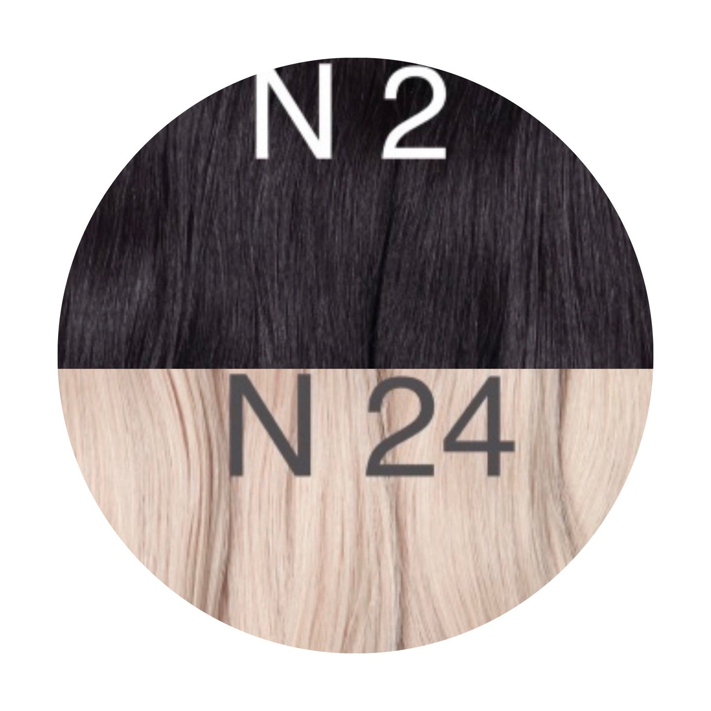 Wigs Ombre 2 and 24 Color GVA hair_Retail price - GVA hair