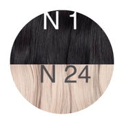 Hot Fusion ombre 1 and 24 Color GVA hair_Retail price - GVA hair