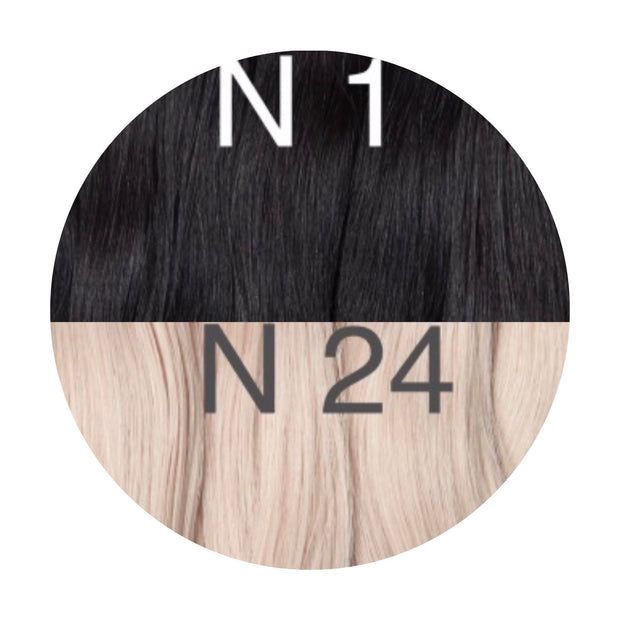 Wefts ombre 1 and 24 Color GVA hair_Retail price - GVA hair