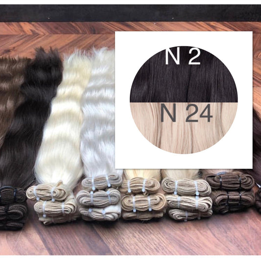Wefts ombre 2 and 24 Color GVA hair_Retail price - GVA hair